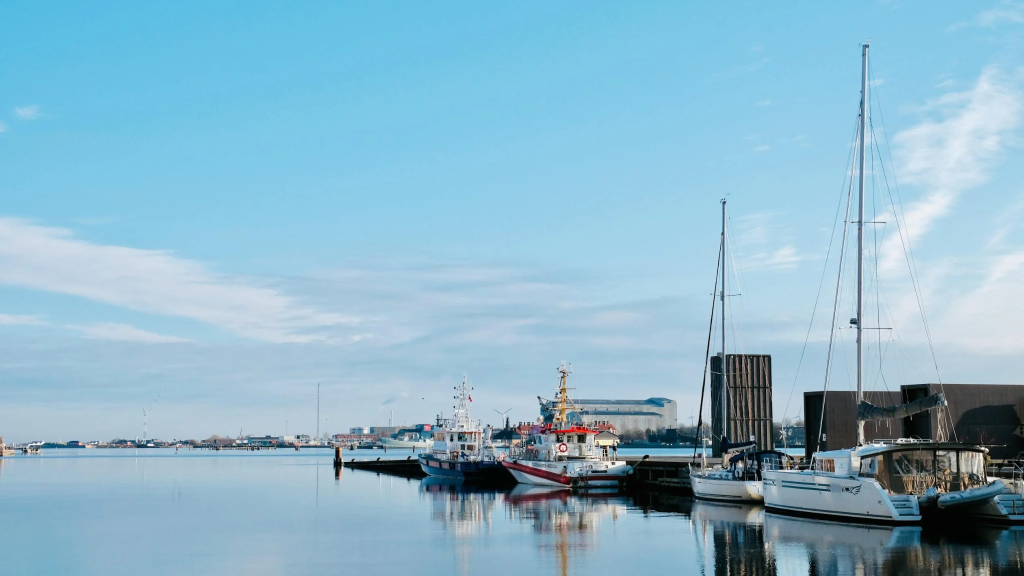Several commercial boats are docked in the water.
