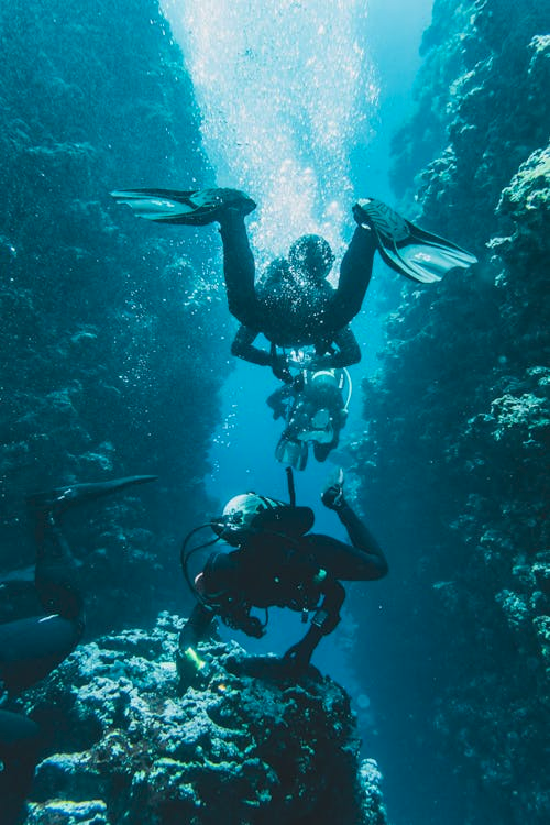 A team of divers
